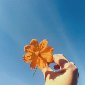 Meet your Posher, Riley